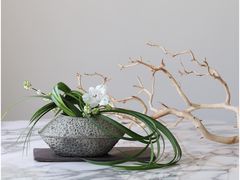 -荷兰布尔玛国际花艺学院