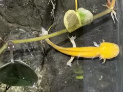 -正佳雨林生态植物园