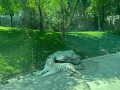 -北京野生动物园