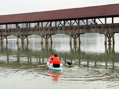 -九龙湖公园