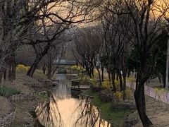 -北坞公园