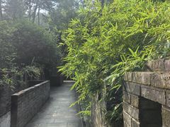 -梦姑塘文化公园