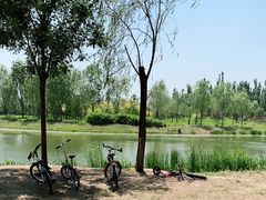 -东郊湿地公园