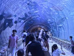 -华夏文旅海洋公园