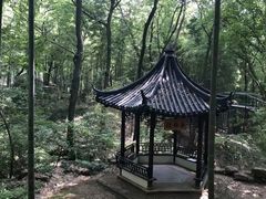 -宝岩生态观光园
