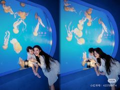 -太平洋海底世界