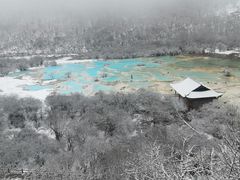-黄龙山原始森林景区