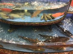 -东江海鲜酒家(艺都分店)
