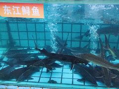 -天怡·鱼工厂(梅溪湖店)