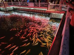 -长春市南湖公园