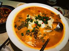 鲜椒豆花鲈鱼-川味堂·四川豆花(八卦岭店)