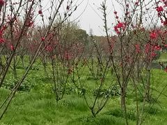 -艾溪湖湿地公园