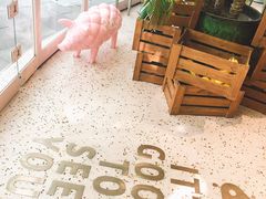 -WHEN PIGS FLY当猪飞