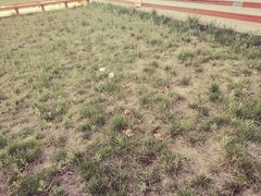 -汉长安城未央宫国家考古遗址公园