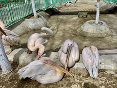 -水上乐园·欢乐世界