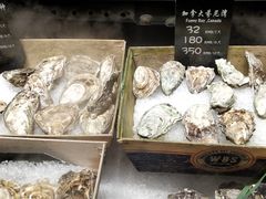 加拿大生蚝-62°上清优选