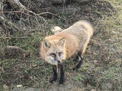 -祥源·阜阳生态乐园