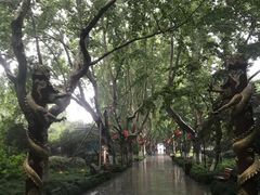 -杭州黄龙洞