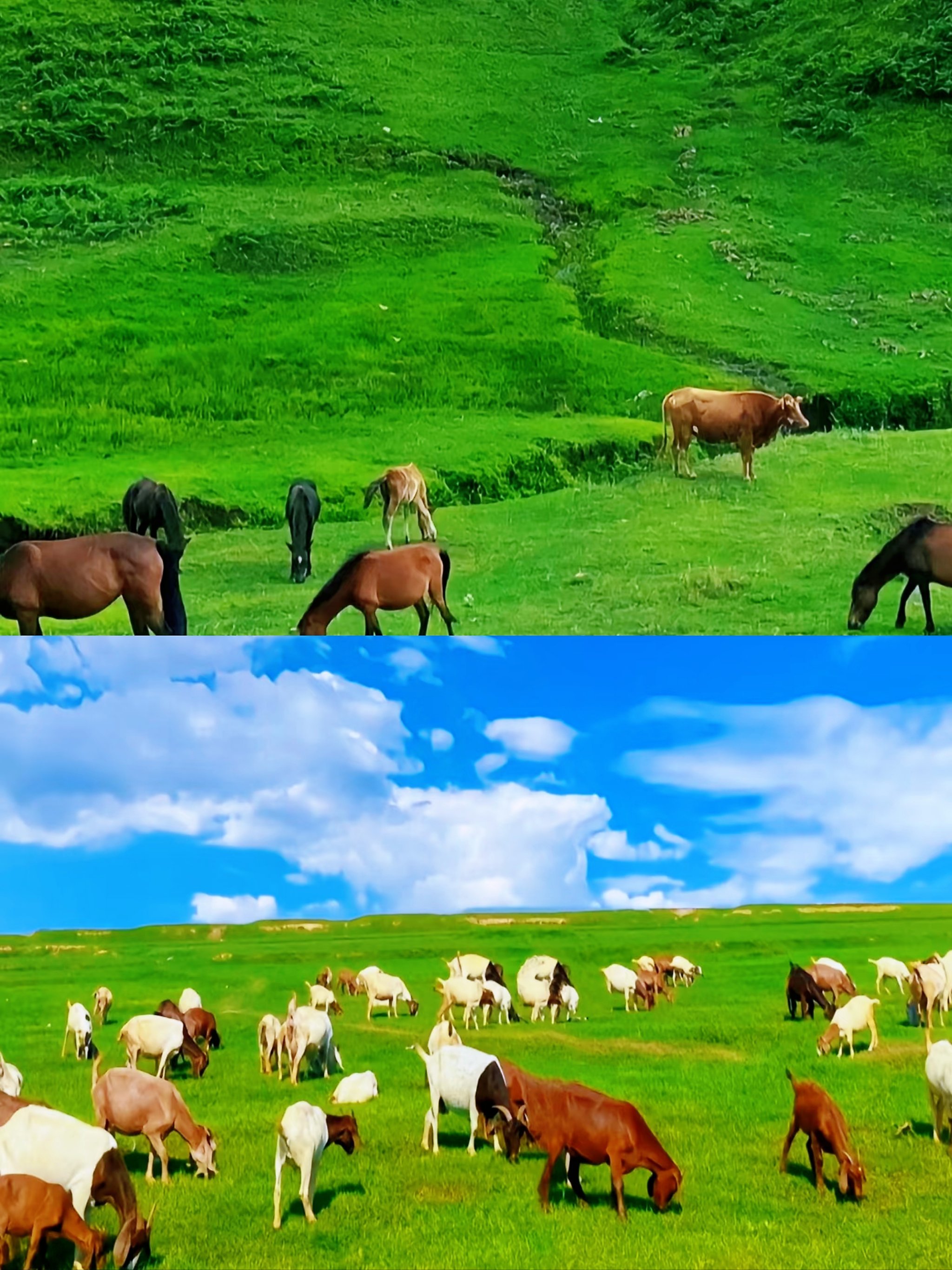 6-8月必去的清凉之地‼️