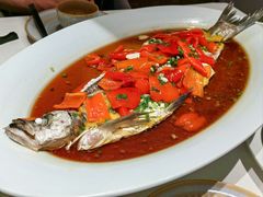 -丹江渔村(望京店)