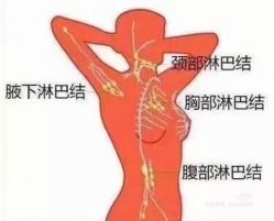 点击看大图 -香薇妮丝女子减肥院