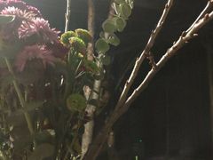 -吃货私房菜(丽江束河古镇店)