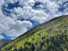 -四姑娘山阿巴郎·藏式花园餐厅