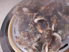 -四海蒸鲜蒸汽海鲜自助(北戴河店)