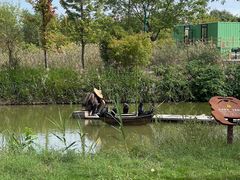 -泗洪洪泽湖湿地景区