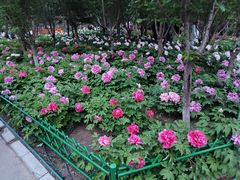 -太阳宫公园