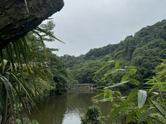 -青城山