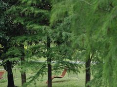 -人民公园(罗湖区)