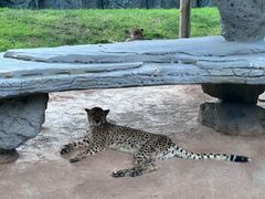 -北京野生动物园