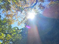 -鹫峰国家森林公园