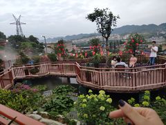 -枇杷园食为鲜火锅(南山店)