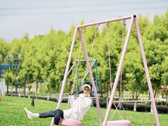 -紫颐香薰山谷景区