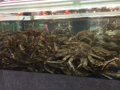 -宝燕海货工场(长江国际店)