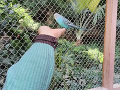 -南宫五洲植物乐园