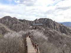 -大岭沟猕猴桃谷风景区