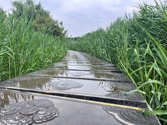 -西安汉城湖景区