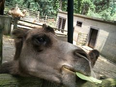 -昆明动物园