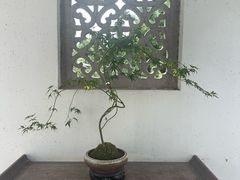 -万景茶庄·台州菜
