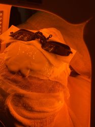 -MC皮肤管理中心