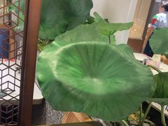 -新辣道鱼火锅(上地华联店)