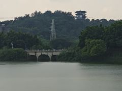 -广东花都湖国家湿地公园