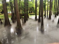-东湖落雁景区