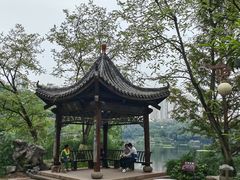 -重庆彩云湖湿地公园