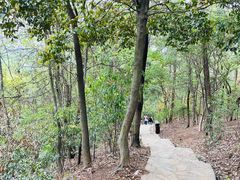 -岳麓山风景名胜区