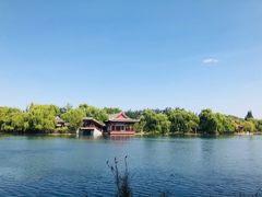 -百脉泉景区