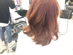 -SALON V